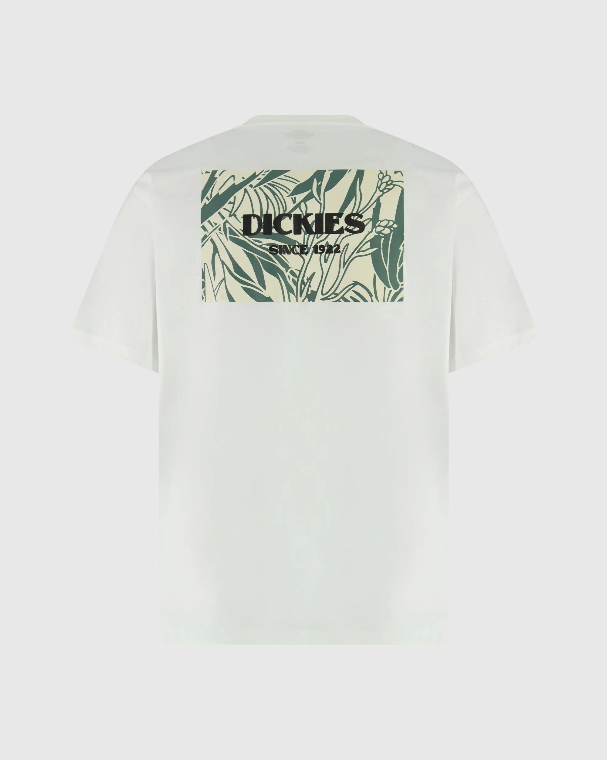 Dickies T-Shirt Max Meadows  Bianco Uomo