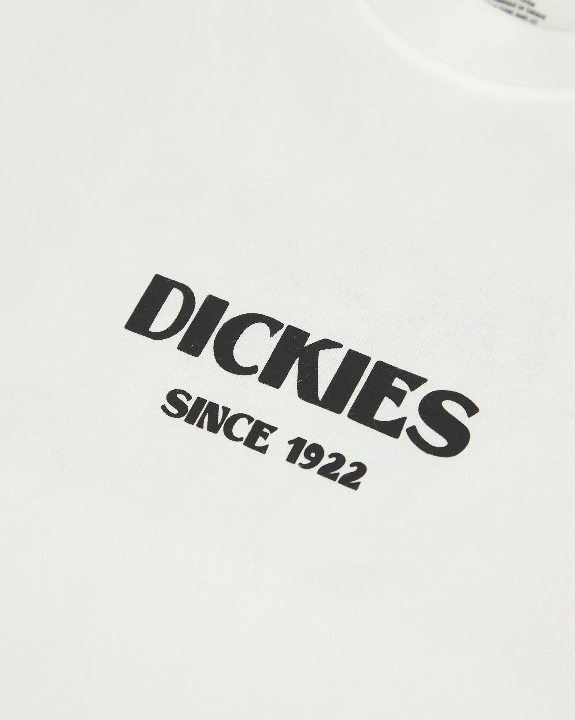 Dickies T-Shirt Max Meadows  Bianco Uomo