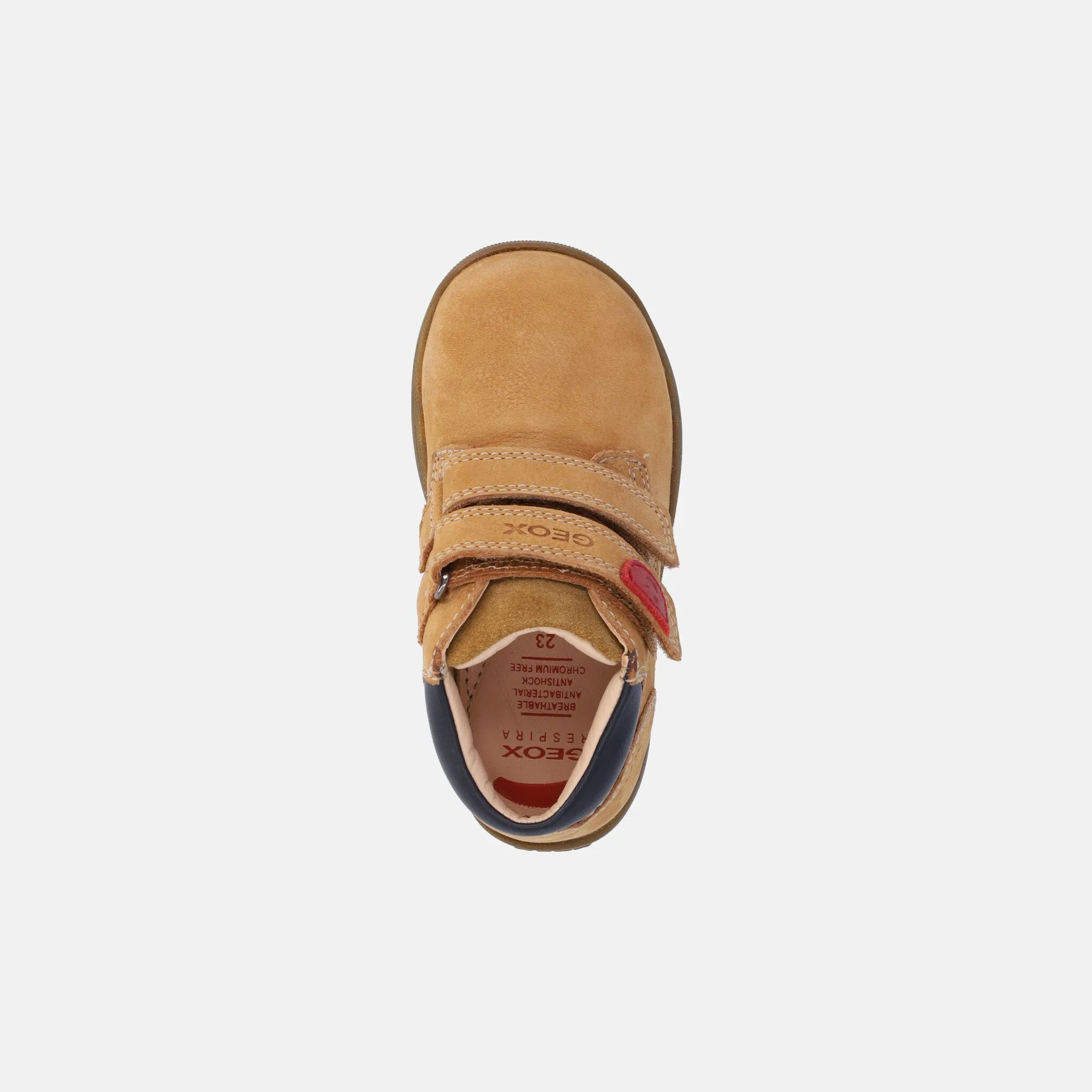 GEOX POLACCO